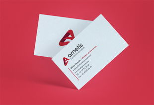 Ametis技術(shù)開發(fā)公司企業(yè)品牌形象設(shè)計與策劃方案