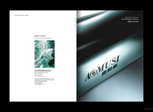 佛山品牌策劃公司 從企業(yè)策劃、形象設(shè)計到品牌設(shè)計的全案服務(wù)