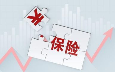 保險(xiǎn)業(yè)務(wù)員的保險(xiǎn)選擇 從業(yè)者視角下的保障決策